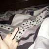 alissataylor595